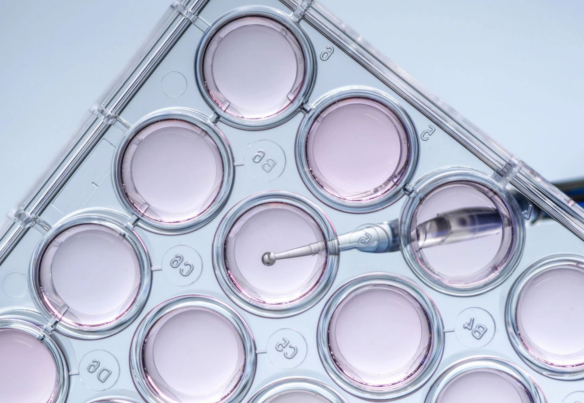 A close-up shot shows a pipette over a multi-well plate, focused on scientific research and medicine.